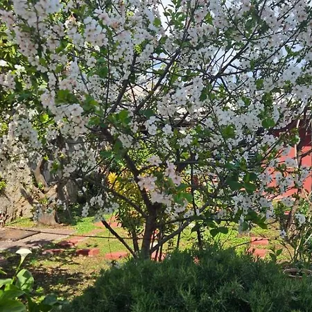 Appartement Afrodita *