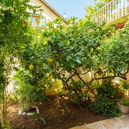 Appartement Afrodita