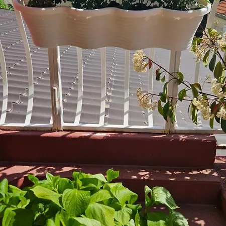 Apartamento Afrodita Dubrovnik