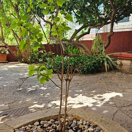 Afrodita * Dubrovnik