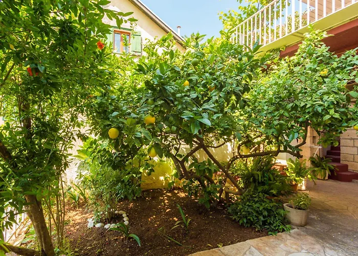 Appartement Afrodita