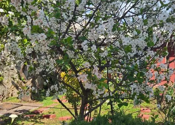 Appartement Afrodita *